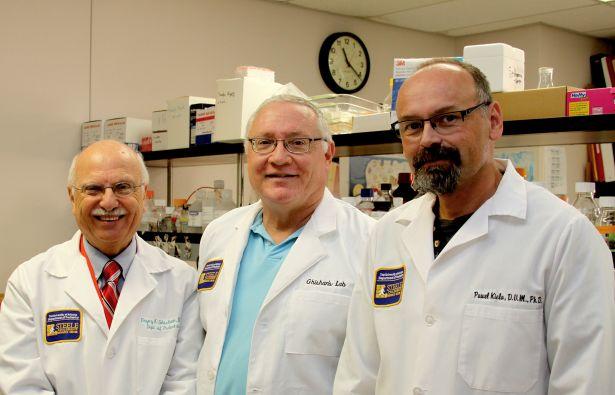 UA researchers (from left) Dr. Fayez K. Ghishan, Eugene A. Mash Jr. and Pawel Kiela. (Credit: University of Arizona)