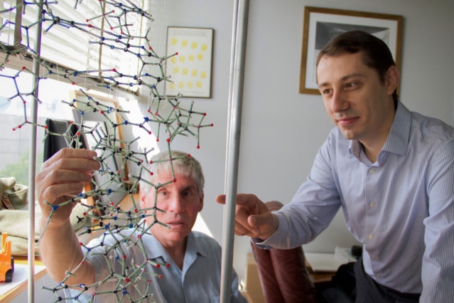 Bogdan Fedeles (right), a research associate in the MIT Department of Biological Engineering and lead author on a new paper on the link between chronic inflammation and cancer, examines a DNA model with professor John Essigmann, who led the current research.  Photo: Jose-Luis Olivares/MIT