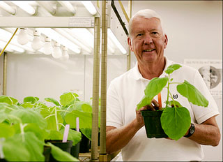 ASU Regents' Professor Charlie Arntzen's research has focused on plant-based vaccine delivery systems; now he may have hit on an unlikely combination of using tobacco as a way to make and deliver a promising vaccine for the Ebola virus. (Source: Arizona State University)