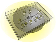 This illustration shows the design of a new chip capable of simulating a tumor's "microenvironment" to test the effectiveness of nanoparticles and drugs that target cancer. The new system, called a tumor-microenvironment-on-chip device, will allow researchers to study the complex environment surrounding tumors and the barriers that prevent the targeted delivery of therapeutic agents.  (Source: Purdue University/Altug Ozcelikkale and Bumsoo Han) 