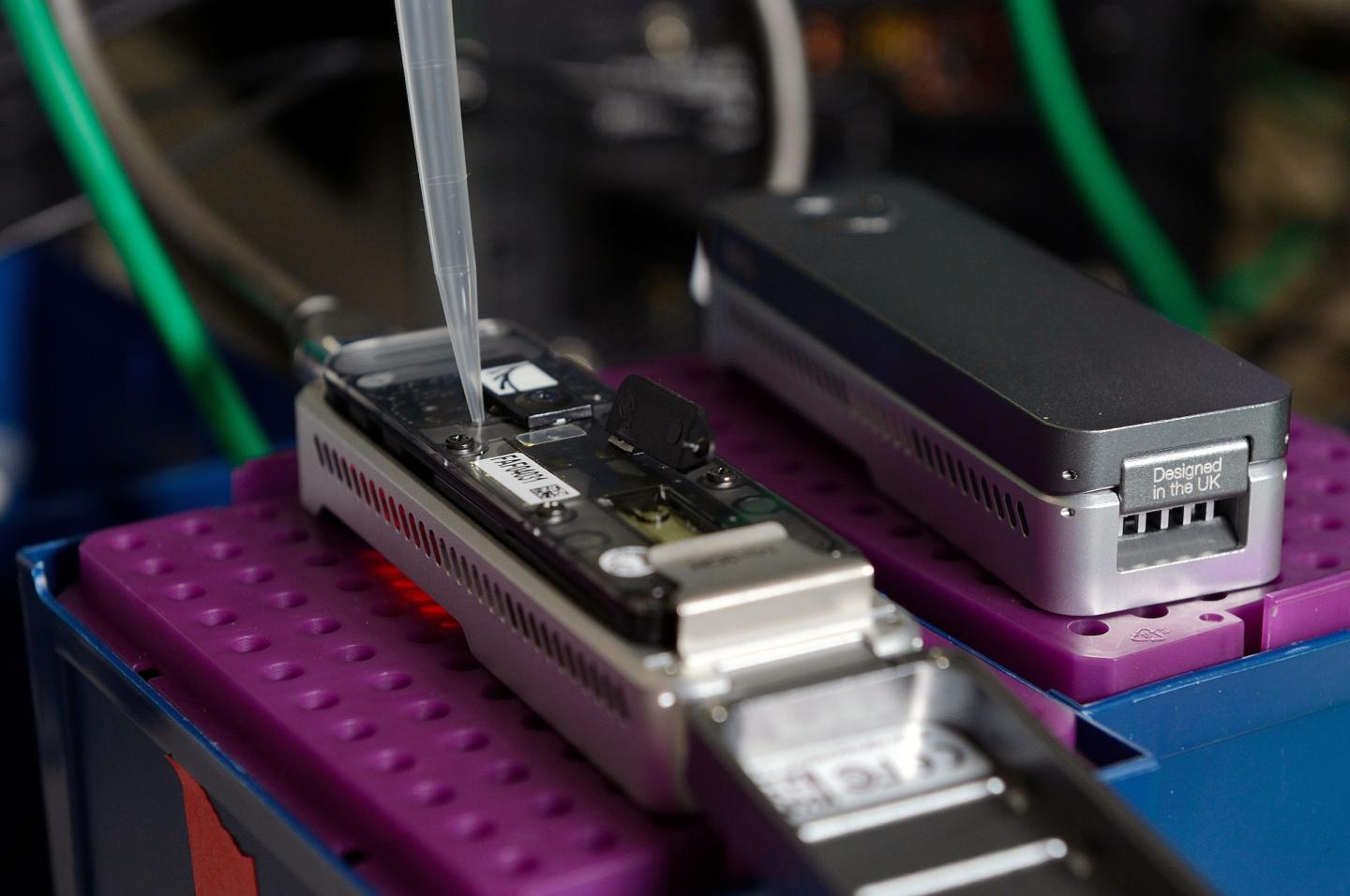New Gene Sequencing Software Could Aid in Early Detection, Treatment of ...