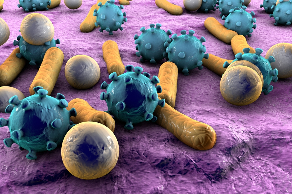HighResolution Imaging Reveals the Secrets of Bacterial Toxin Drug