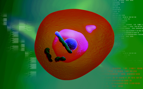 Digital illustration of human cell