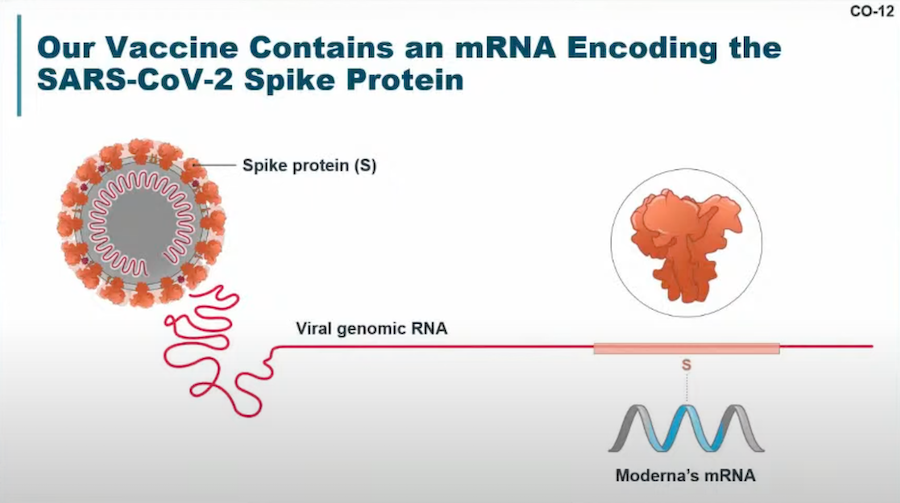 MRNA vaccine