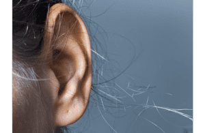 ear