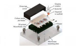 MIT India 3D printed microfluidic bioreactor