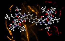 MIT antibiotic synthesis