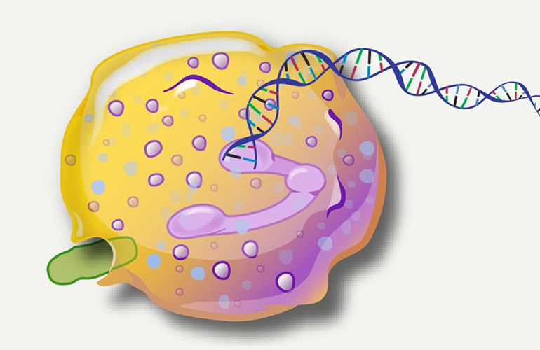 Pharmaceutical industry trends 2023 outlook Drug Discovery