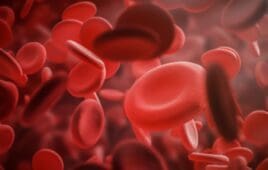 Red blood cells macro over red eritrosit background. Concept of blood cells count, medicine and healthcare. 3d rendering mock up