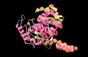 protein at high resolution