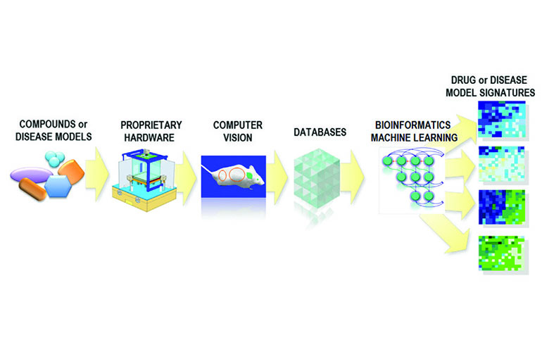 SmartCube