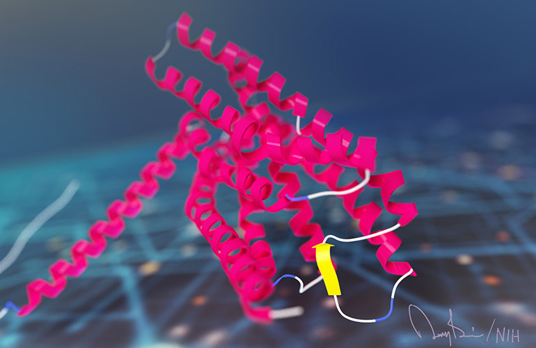 Digital representation of a protein