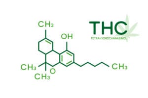 Ilustration of THC molecular formula. Tetrahydrocannabinol molecule structure on white background.