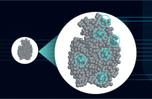 Protein misfolding