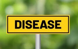 Disease road sign on blur background