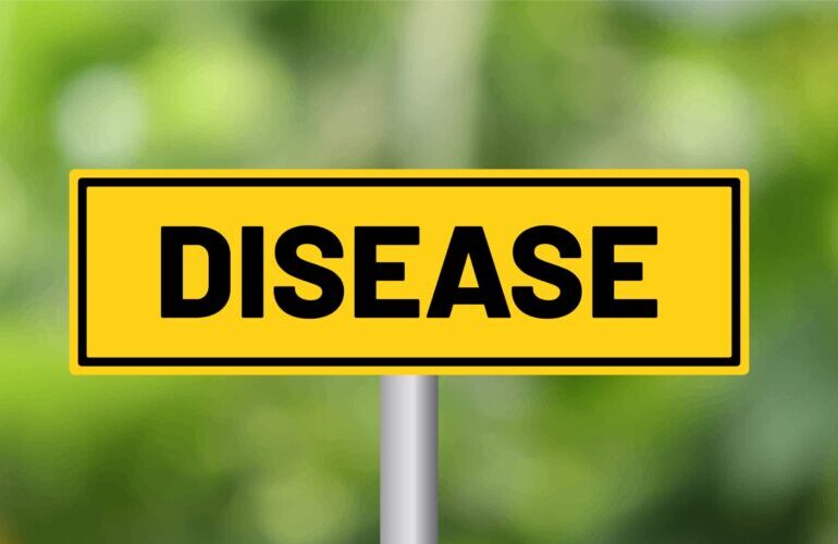 Analyzing the potentially expanding applications of GLP-1 drugs