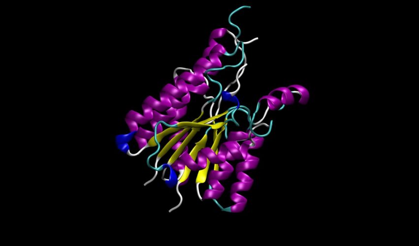 3D protein structure prediction with AlphaFold2, OpenFold, and ESMFold in NVIDIA's BioNeMo.