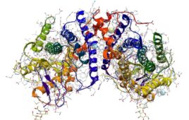 D model of Rhodopsin protein, highlighting molecular complexity.