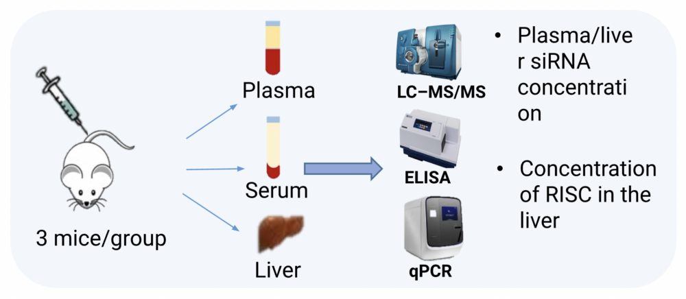 Figure 2. siRNA-X mouse PK study design and bioanalytical solutions