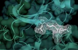 Virtual screening of a kinase with AtomNet® technology