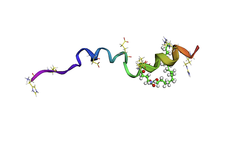 Liraglutide may slow cognitive decline in Alzheimer's