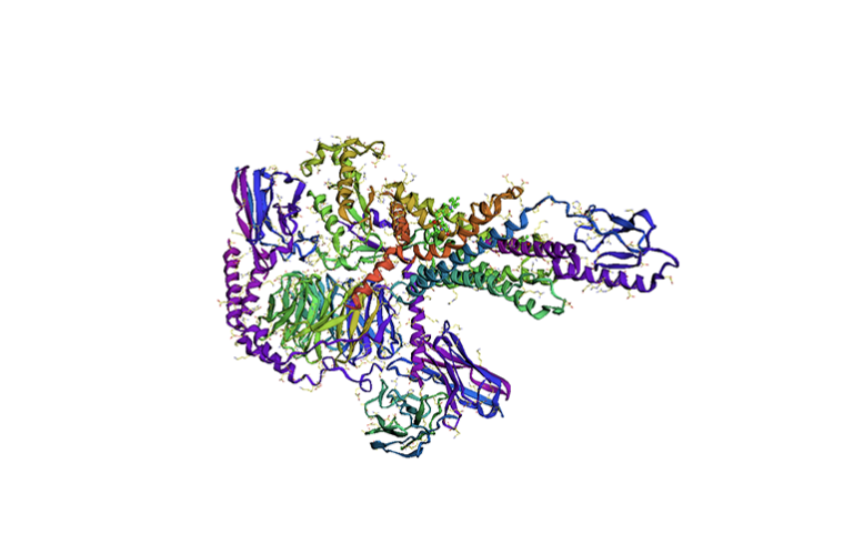 Tirzepatide cuts diabetes risk by 94% in SURMOUNT-1 trial