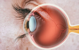 Structure of human eye. In side view.
