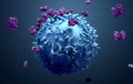 immune cell