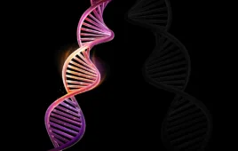 Double helix