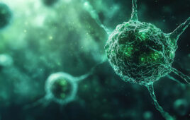 Bright green stem cell colony of embryo under microscope
