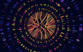 Deciphering genomic complexity: Visualizations like Circos plots are essential tools in NGS-driven companion diagnostics for precision medicine.
