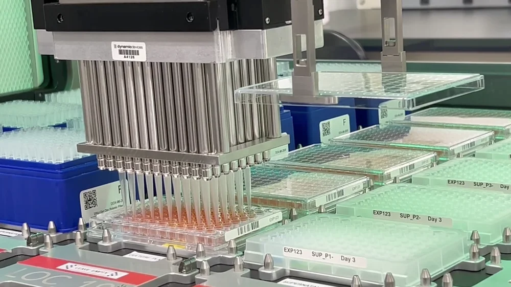 A closeup of plates of organoids being automatically fed to grow and develop into replicas of human lymph nodes.
