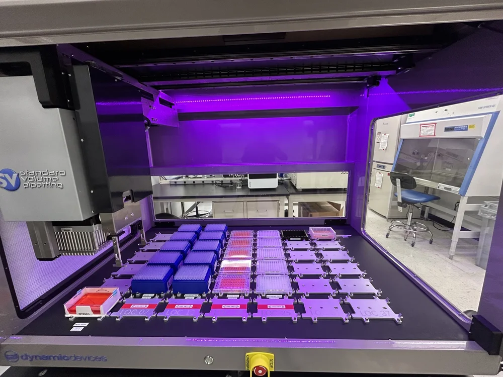 Plates of organoids being automatically fed to grow and develop into replicas of human lymph nodes.