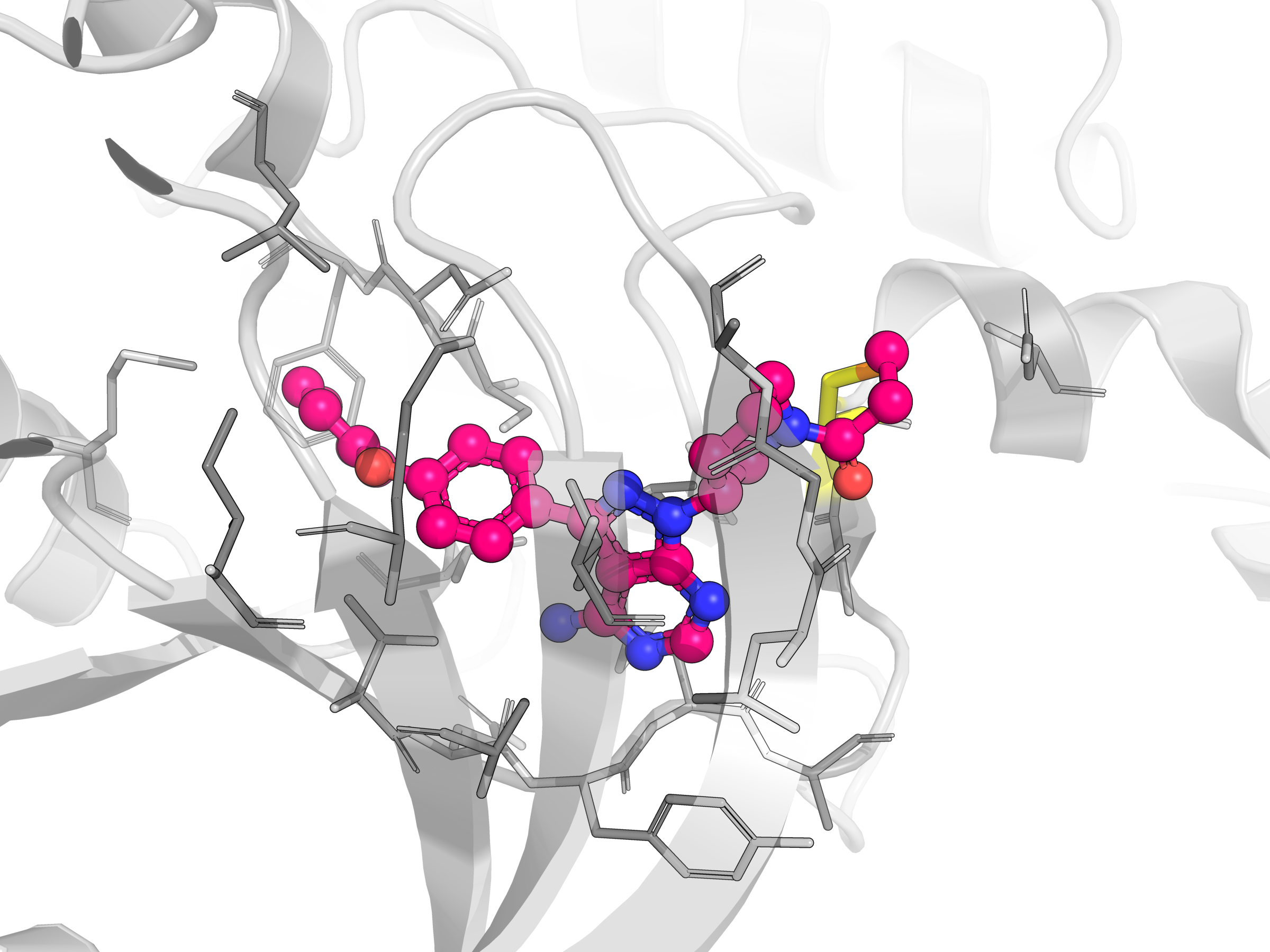 glutathione regenerates other antioxidants metabolism of xenobiotics: the role of glutathione in conjugation of