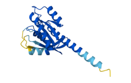 places to inject semaglutide Wegovy Injection Sites: Where to Inject & How to Rotate Safely