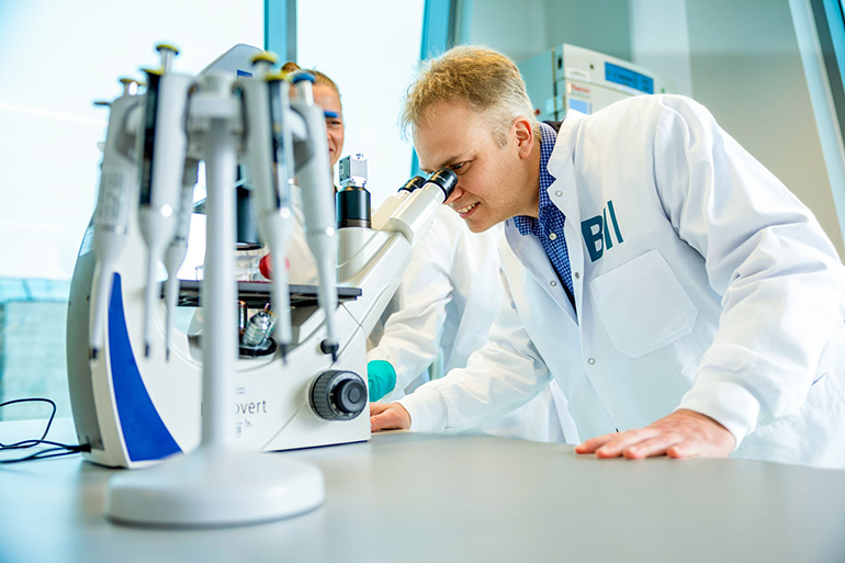 Novo Nordisk hands a Parkinson’s cell therapy to Cellular Intelligence, a startup trying to design cell behavior