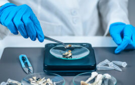 Insuring the trip: an underwriter on what it will take for approved psilocybin can become a real business