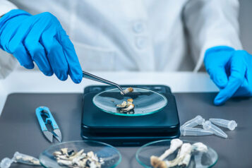 Measuring Psilocybin Magic Mushroom Micro Doses in Laboratory for A Scientific Experiment