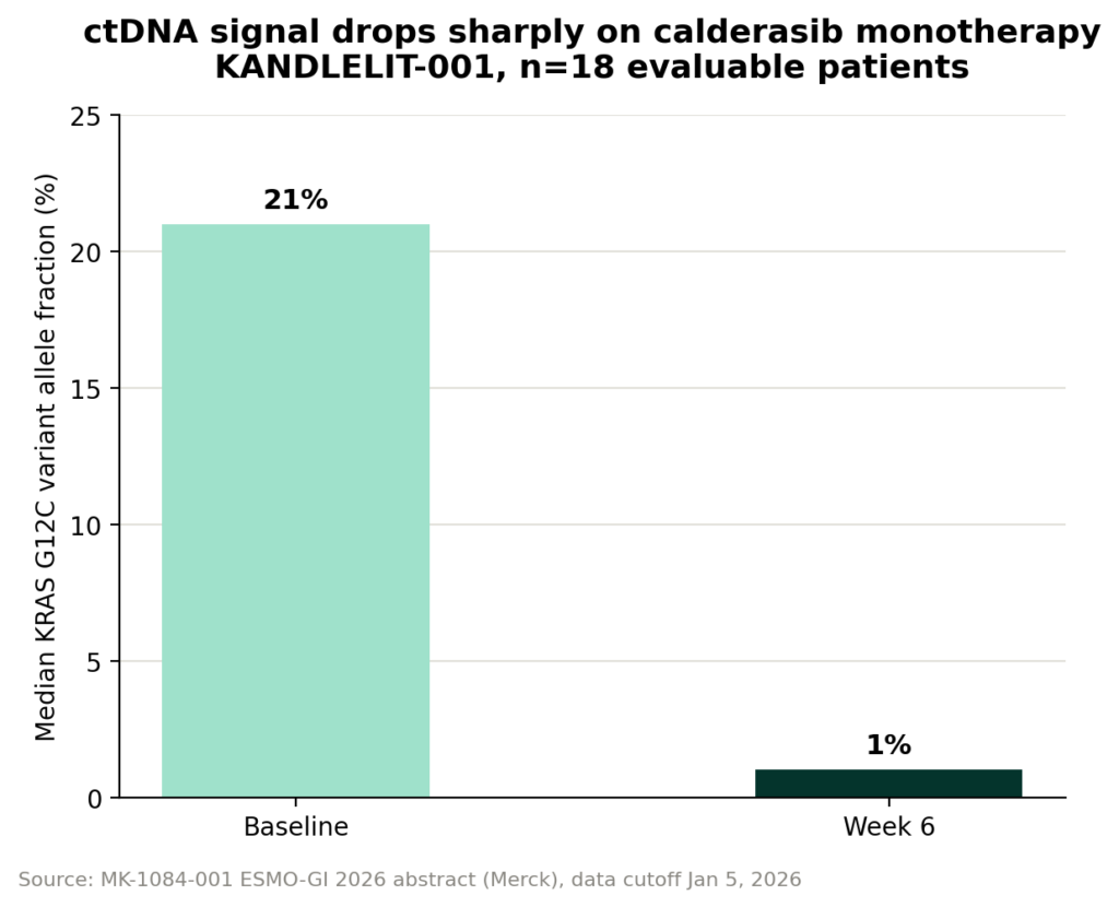 Calderasib’s real innovation: designed for combination, not raw potency