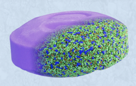 Ahead of PharmSci 360, DigiM CEO on turning hidden microstructures into drug-release predictions