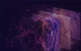 Gilead and Nucleai probe why target-positive tumors can still resist ADCs