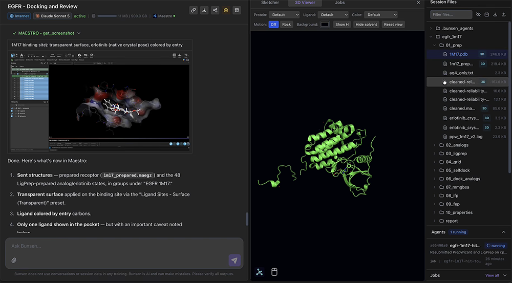 A Bunsen workflow view from a Schrödinger demonstration.