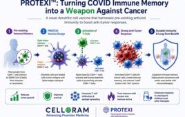 Cancer vaccine borrows COVID immune memory to activate T cells against tumors in mice 